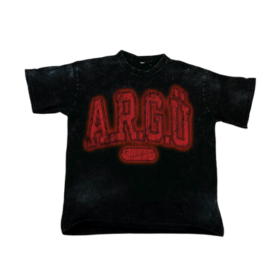 ARGÜ COLLEGE TEE (RANDOM COLOR)