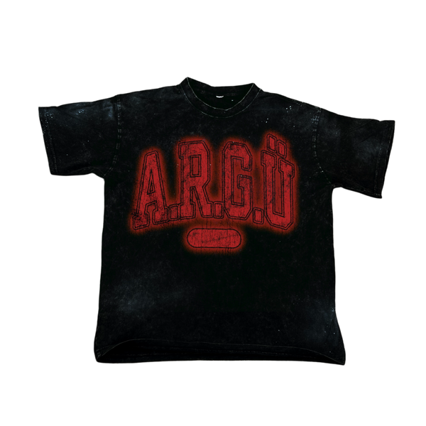 ARGÜ COLLEGE TEE (RANDOM COLOR)