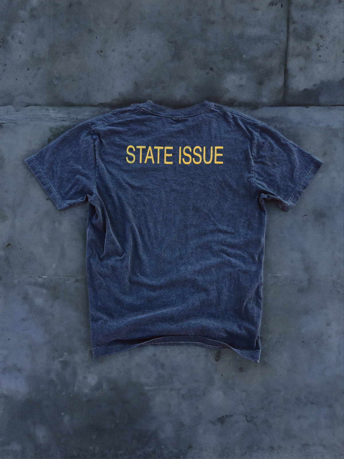 STATE ISSUE TEE