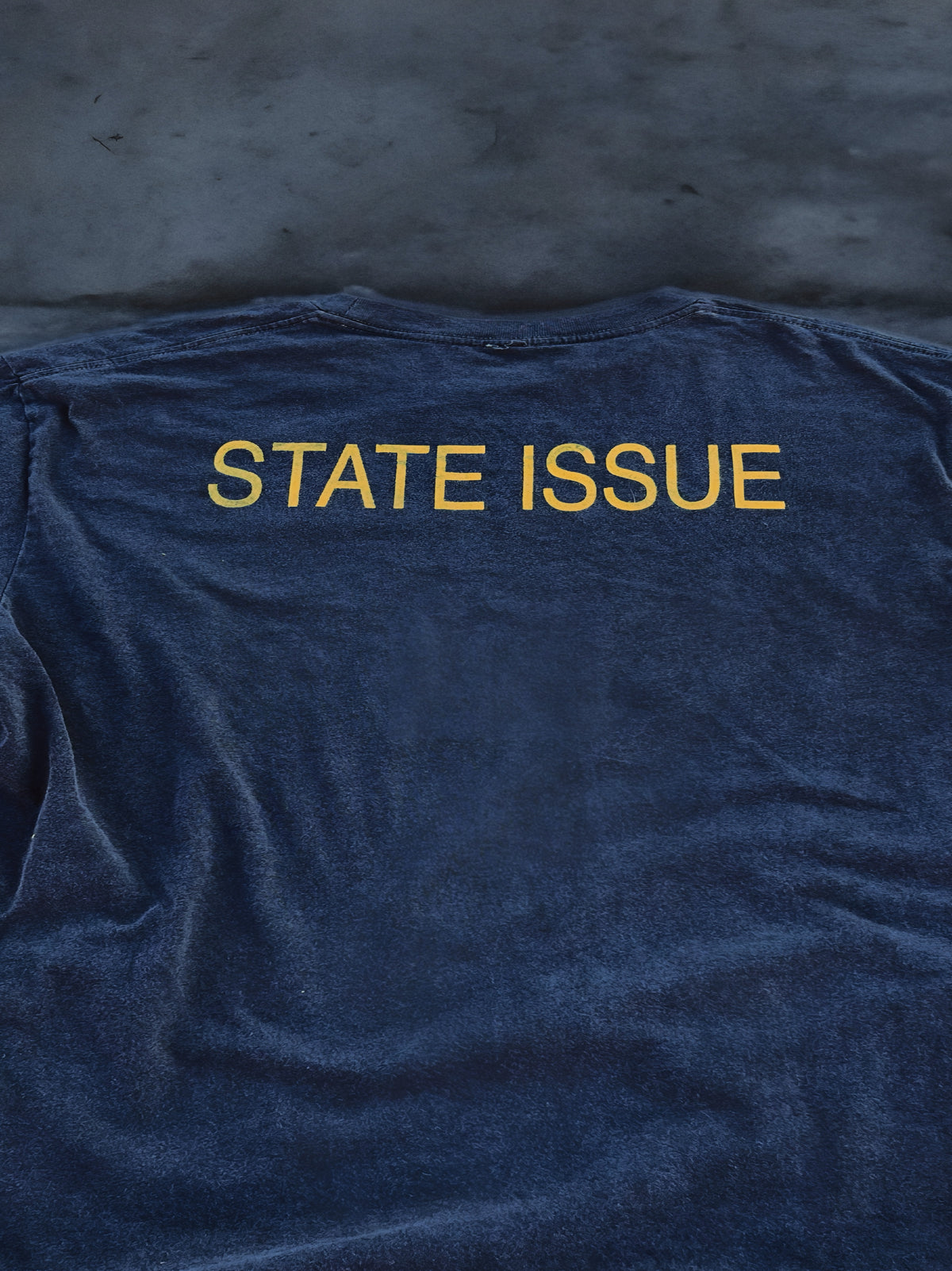 STATE ISSUE TEE